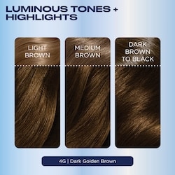 Nice'N Easy Permanent Hair Dye, Superior Natural Looking Colour 3