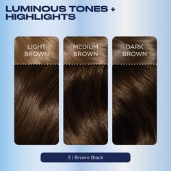 Nice'N Easy Permanent Hair Dye, Superior Natural Looking Colour 3