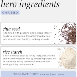 Chia Seed Volumizing  Dry Shampoo 3