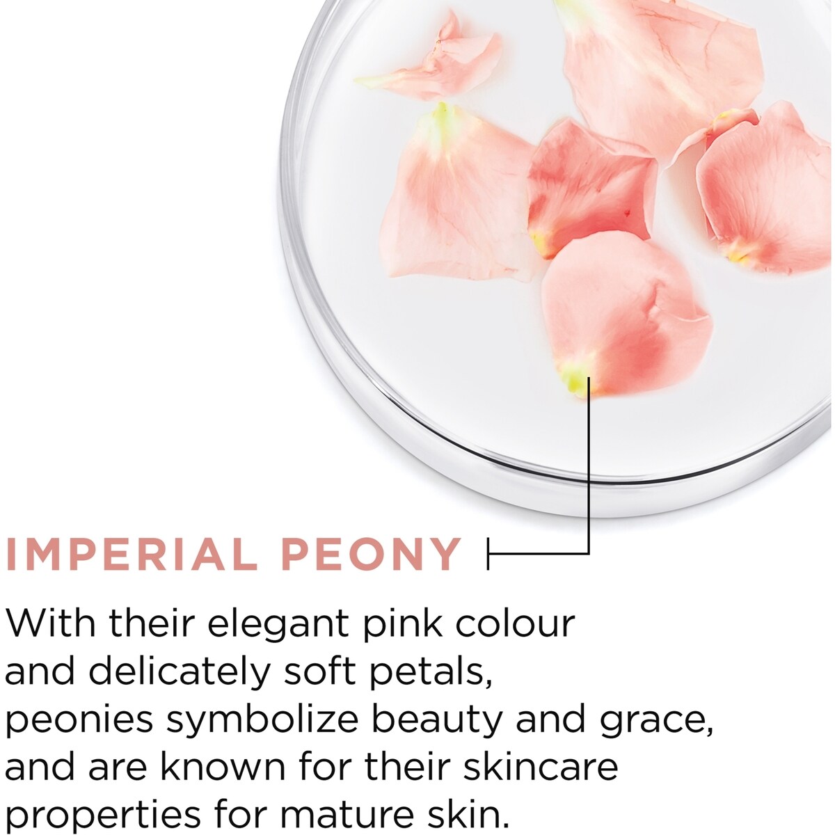 Moisturizer Rosy Tone