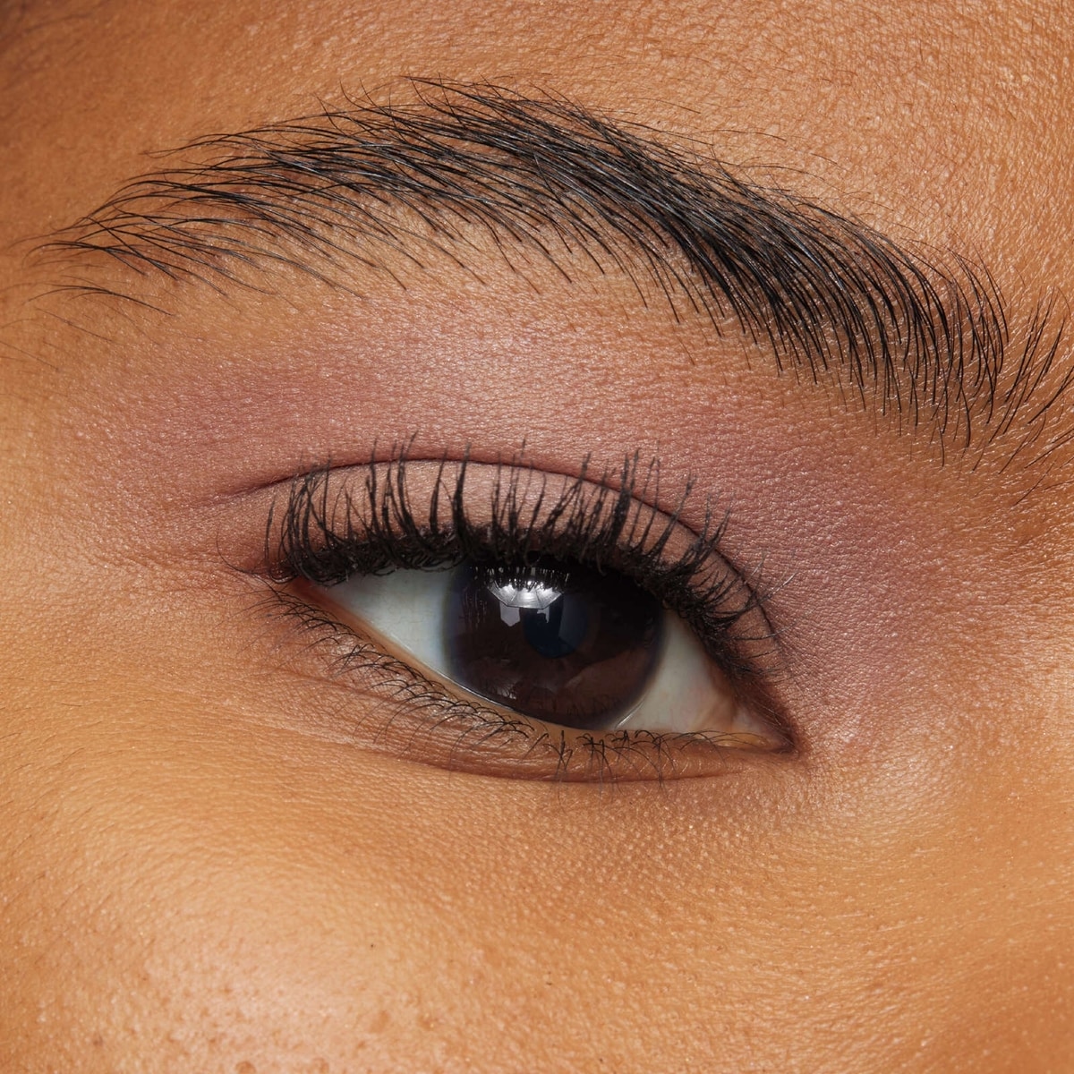 Paradise Le Shadow Stick Eyeshadow