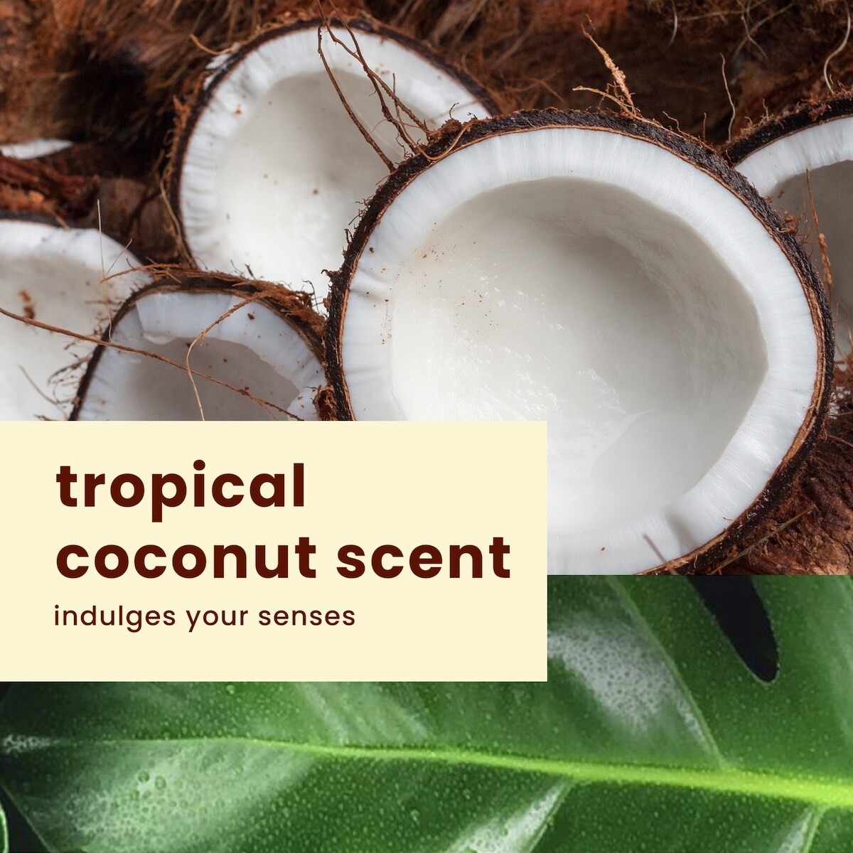 Moisturizing Dark Tanning Oil SPF 4