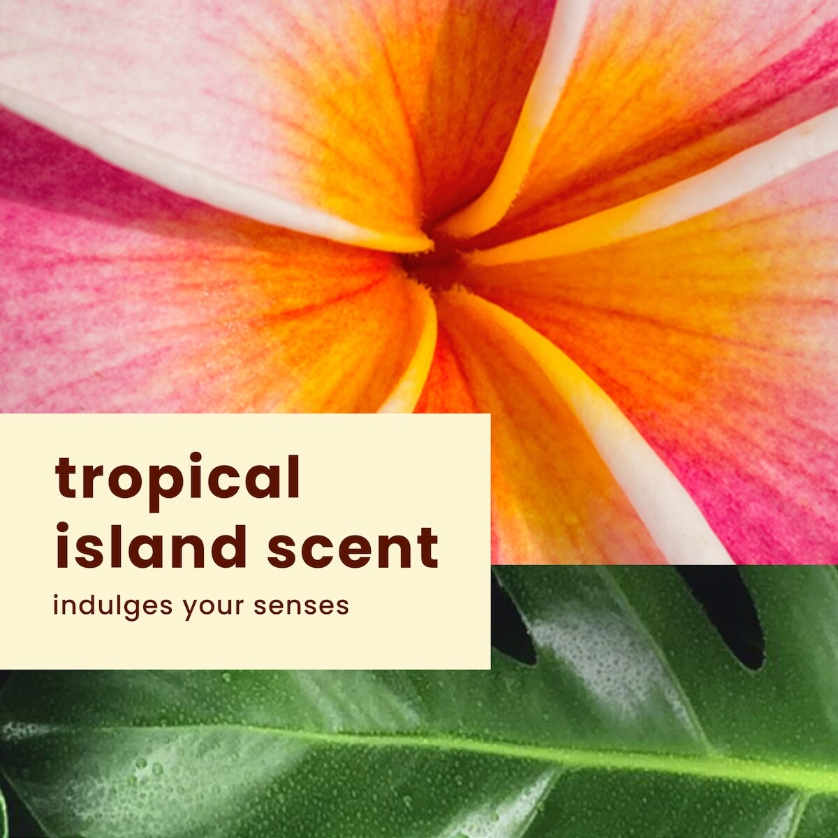 Lotion écran solaire Silk HydrationMC à FPS 50