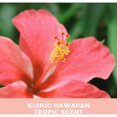 Aloha Glow™ Self-Tanning Mousse 1-Hr Express Tan 5