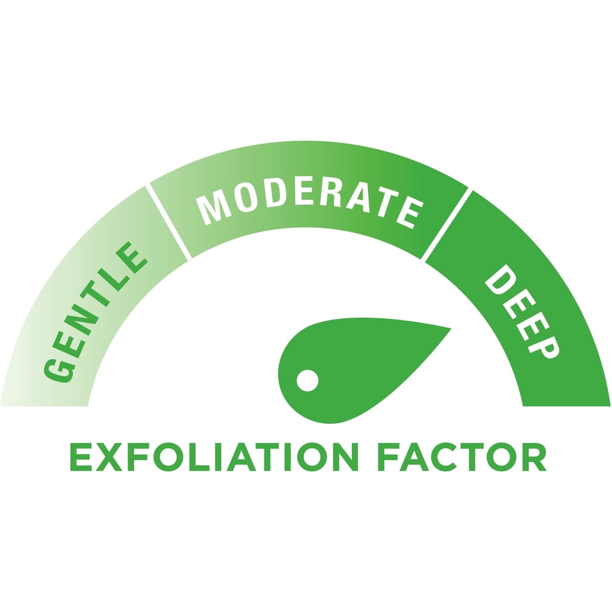 Cranberry Seed + Grape Seed Oil Body Lotion