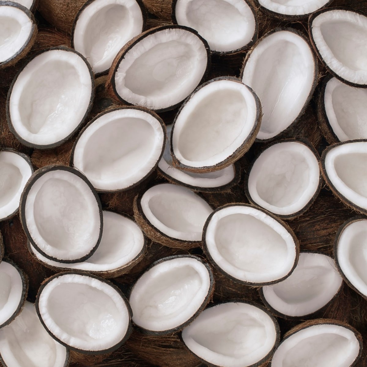 Softening Body Lotion for soft, silky skin Coconut Milk & Orchid paraben-free dry skin moisturizer 600 mL