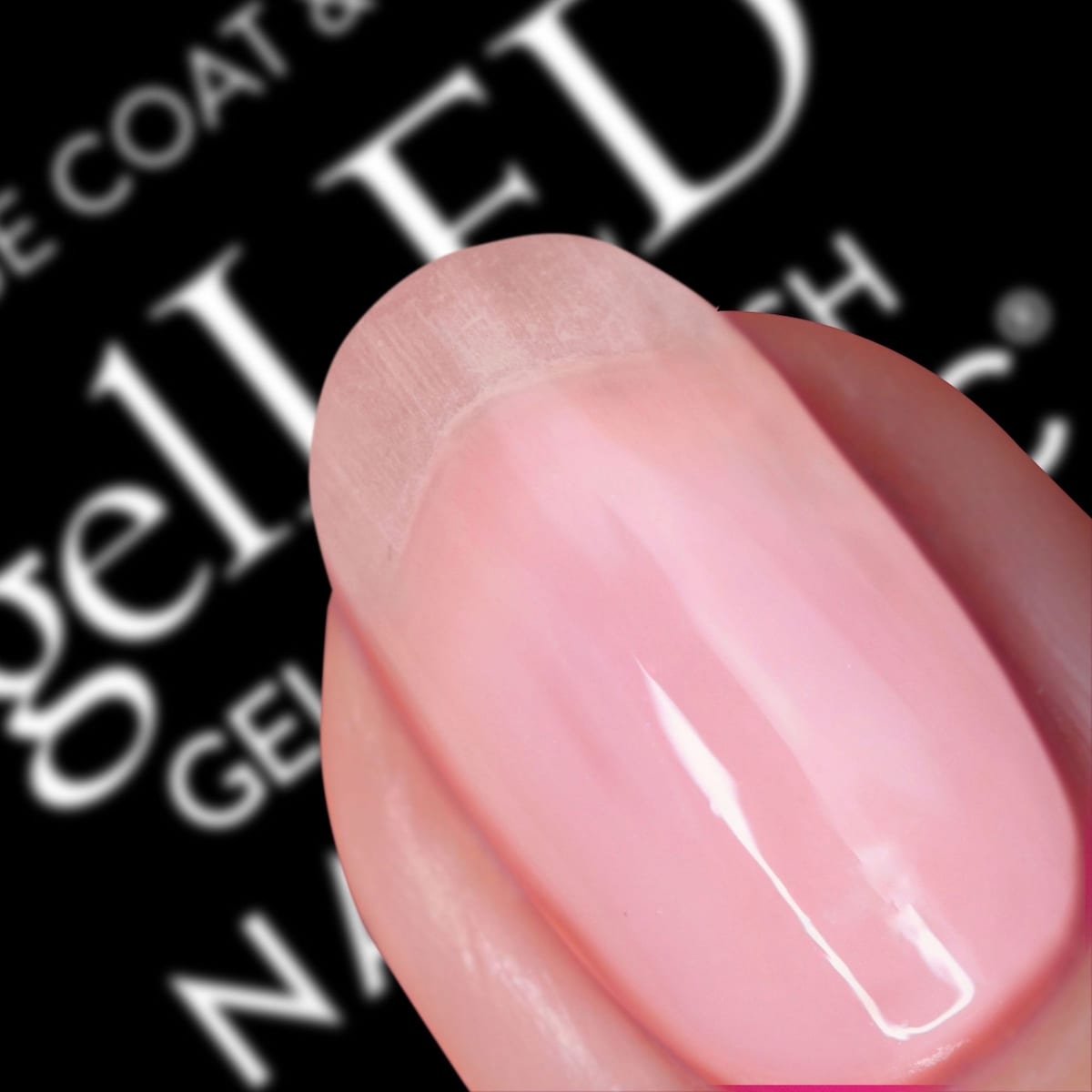 Primer/Base Topcoat Refill