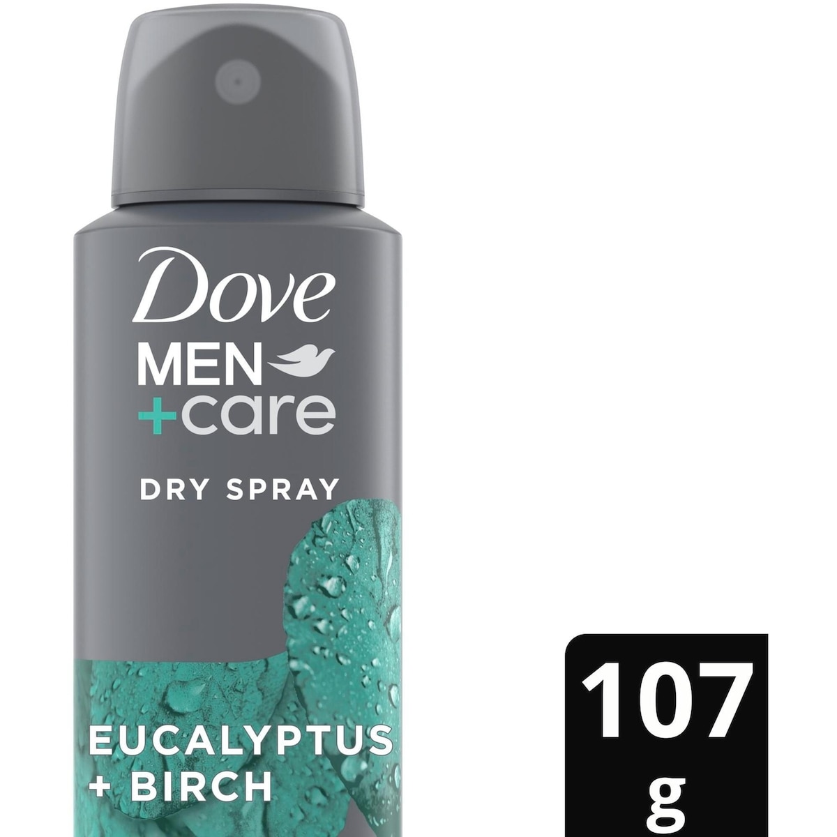 Dove Men+Care  Antiperspirant Dry Spray for 48 Hour Sweat and Odour Protection Eucalyptus + Birch Antiperspirant + Deodorant for Men 107g