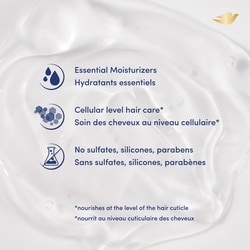 Hair Therapy Endless Waves for Wavy Hair Shampoo Moisturizing Shampoo Made With Raw Shea Butter for Up To 72H Definition 7