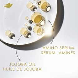 Shampoo for Curly, Coily Hair Amino Curl with Bio-Protein Care Technology +  Jojoba Oil 530mL 6