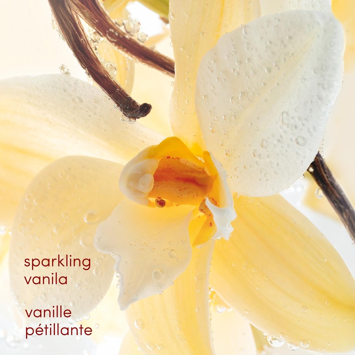 Désodorisant en vaporisateur Vanille pétillante Sans aluminium 74g