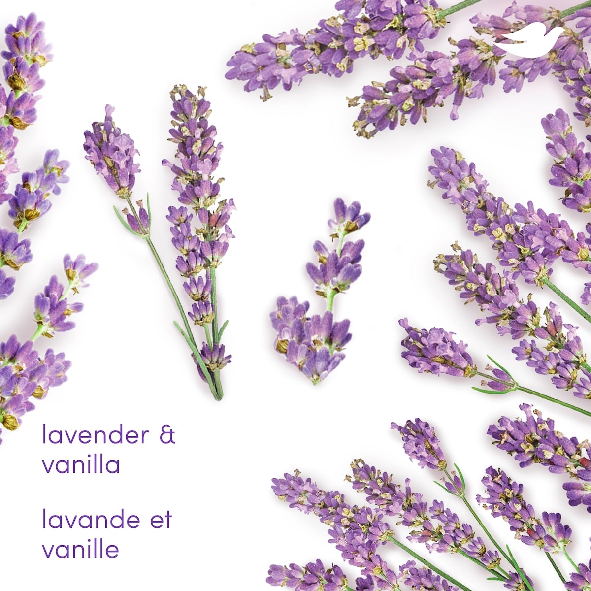 Deodorant Stick, 72h Lavender & Vanilla, Gentle & Hydrating, 74g