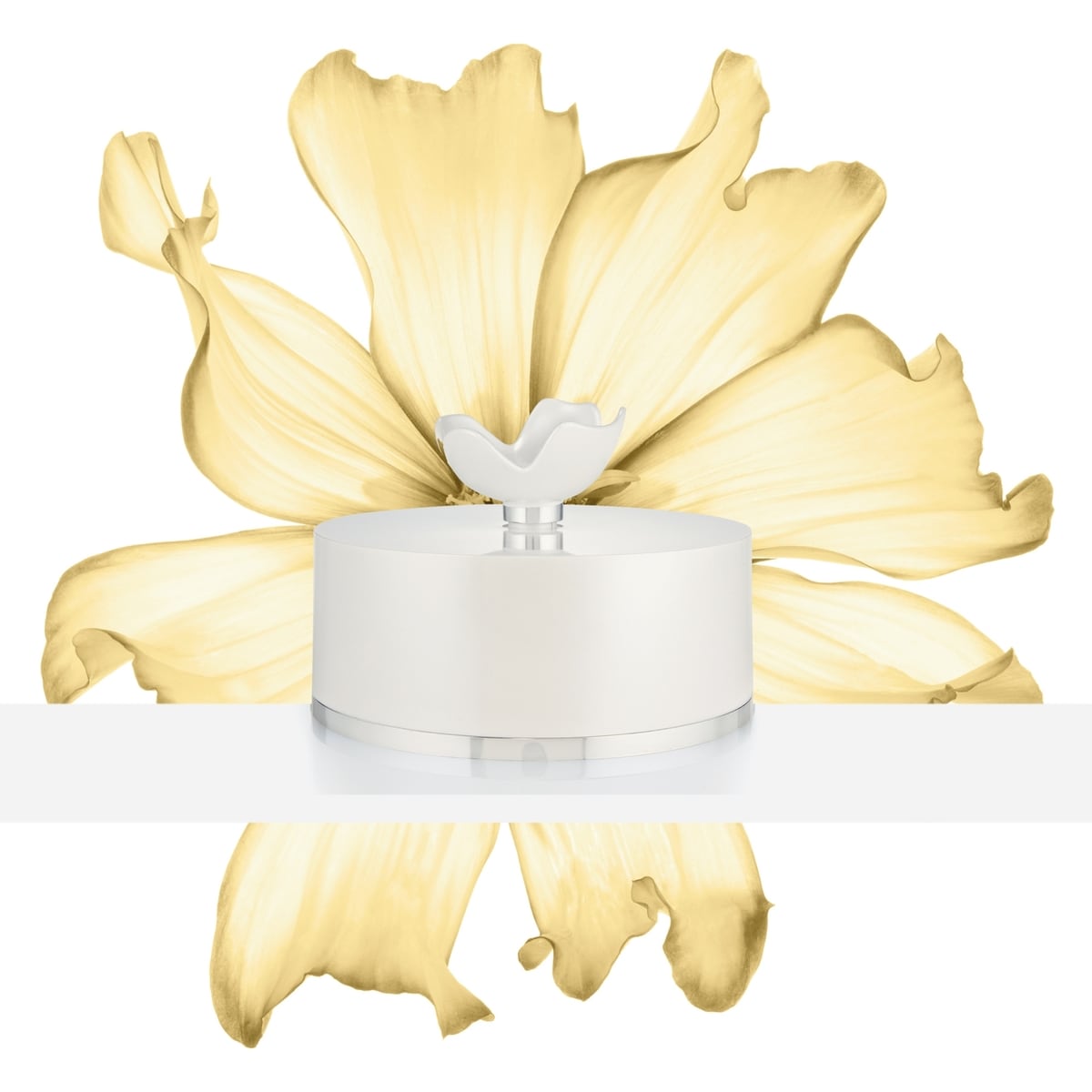 Oscar Woman Dusting Powder