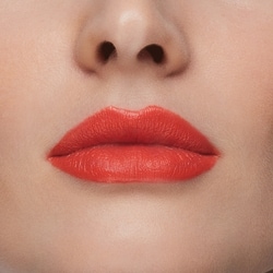 Stay All Day® Liquid LipStick 5