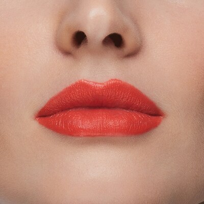 Stay All Day® Liquid LipStick 5