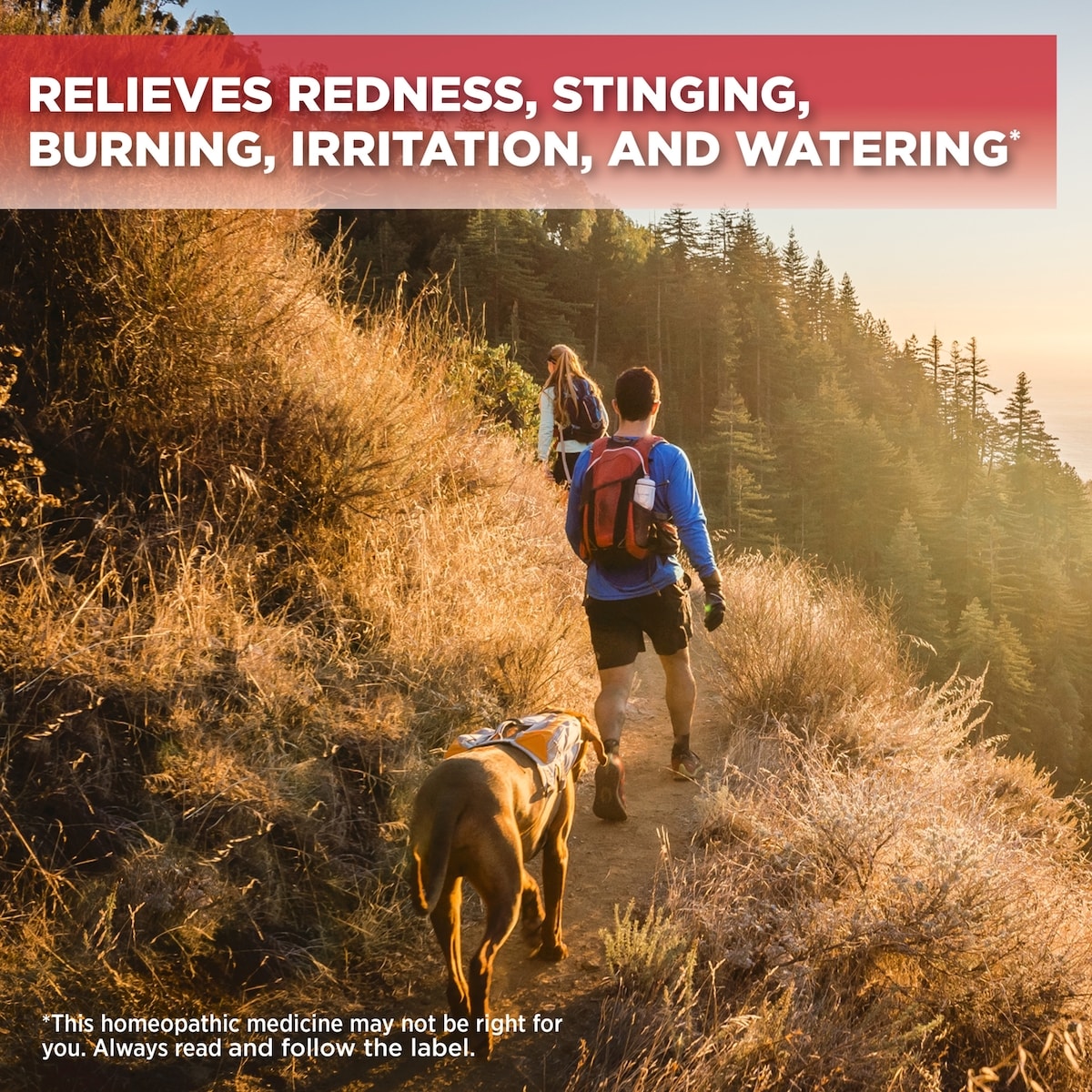 Redness & Itchy Eye Relief