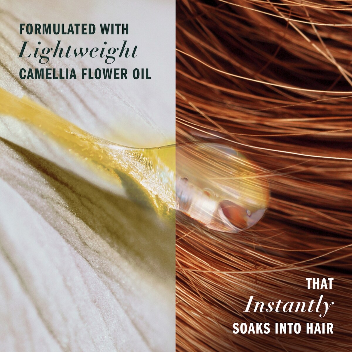 Jojoba Oil Sulfate Free Shampoo, Made for Air Drying, Smoothing,  400 mL, with Certified Camellia Oil and Aloe Vera, For All Hair Types, Especially Frizzy Hair