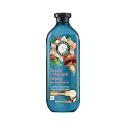 Argan Oil Paraben Free Shampoo, Hair Repair, 400 mL, with Certified Camellia Oil and Aloe Vera, For All Hair Types, Especially Damaged Hair 2