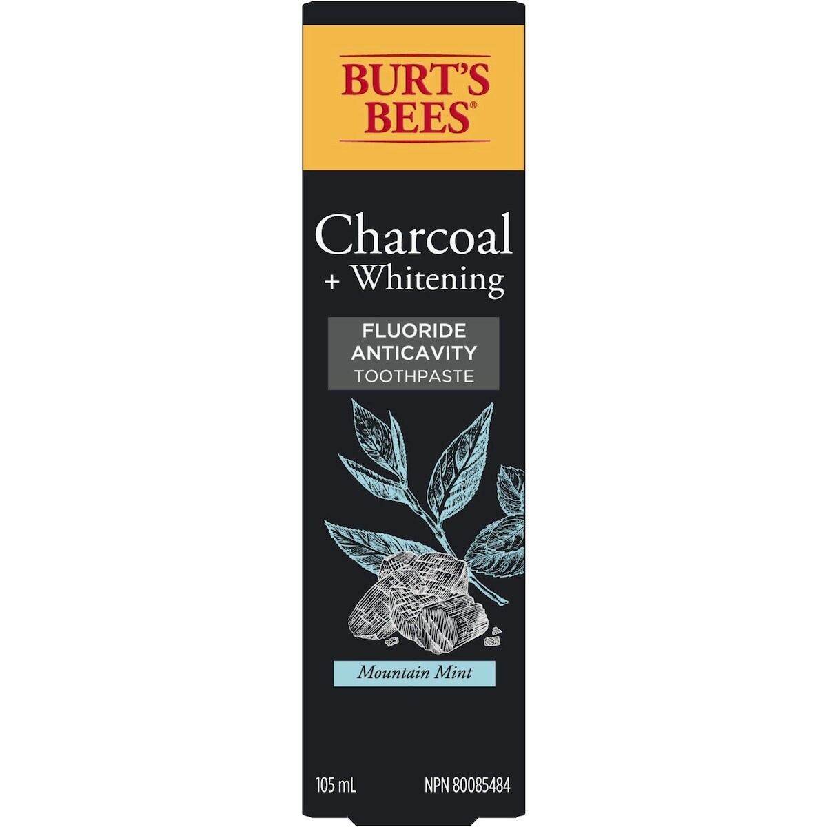 Dentifrice au fluorure Burt’s Bees au charbon, saveur Menthe poivrée, 105 mL
