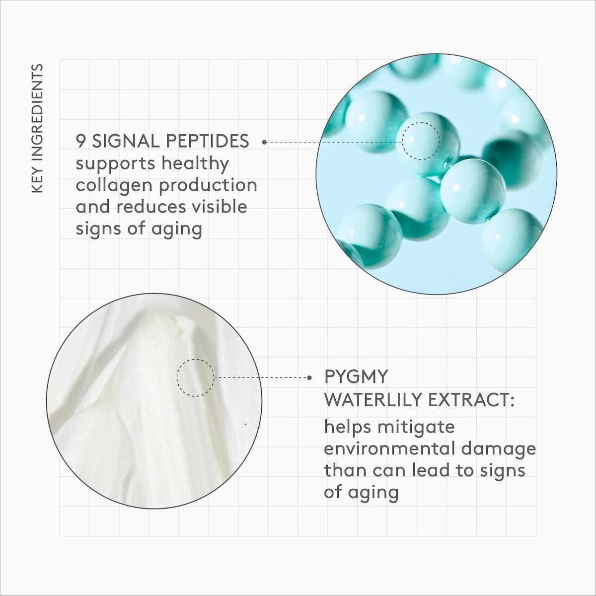 Protini™ Polypeptide Cream Refill
