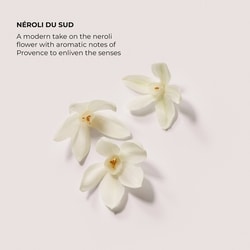 Aromatic Bath & Body Oil 4