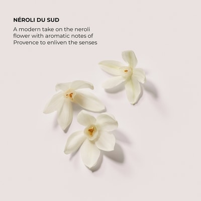 Aromatic Bath & Body Oil 4