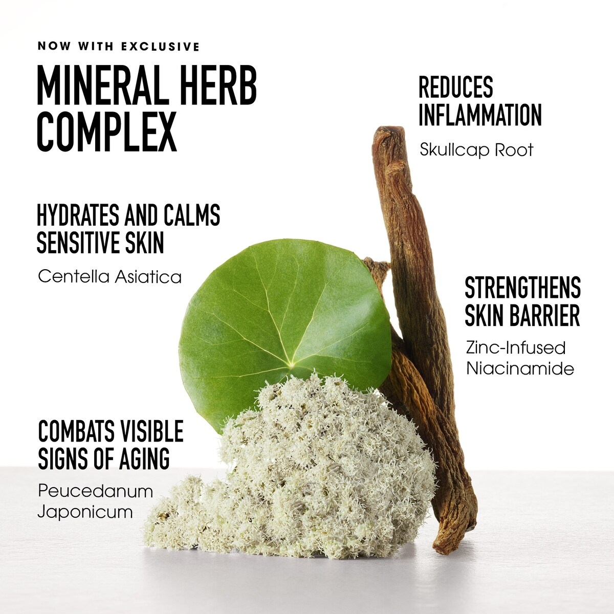 SKINLONGEVITY Crème Revitalisante pour les Yeux au Complexe de Minéraux et de Plantes avec niacinamide