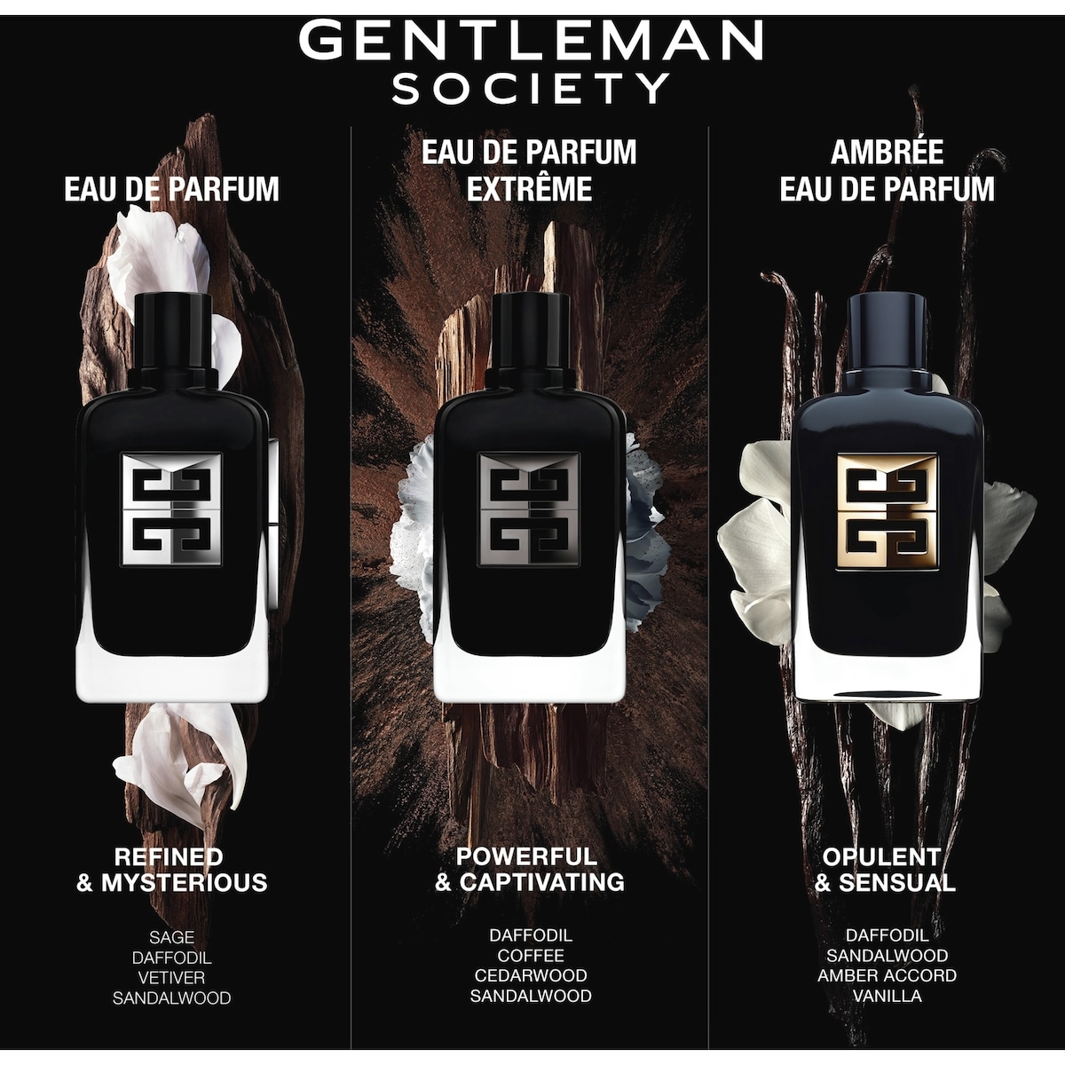 Gentleman Society Ambrée Eau de Parfum