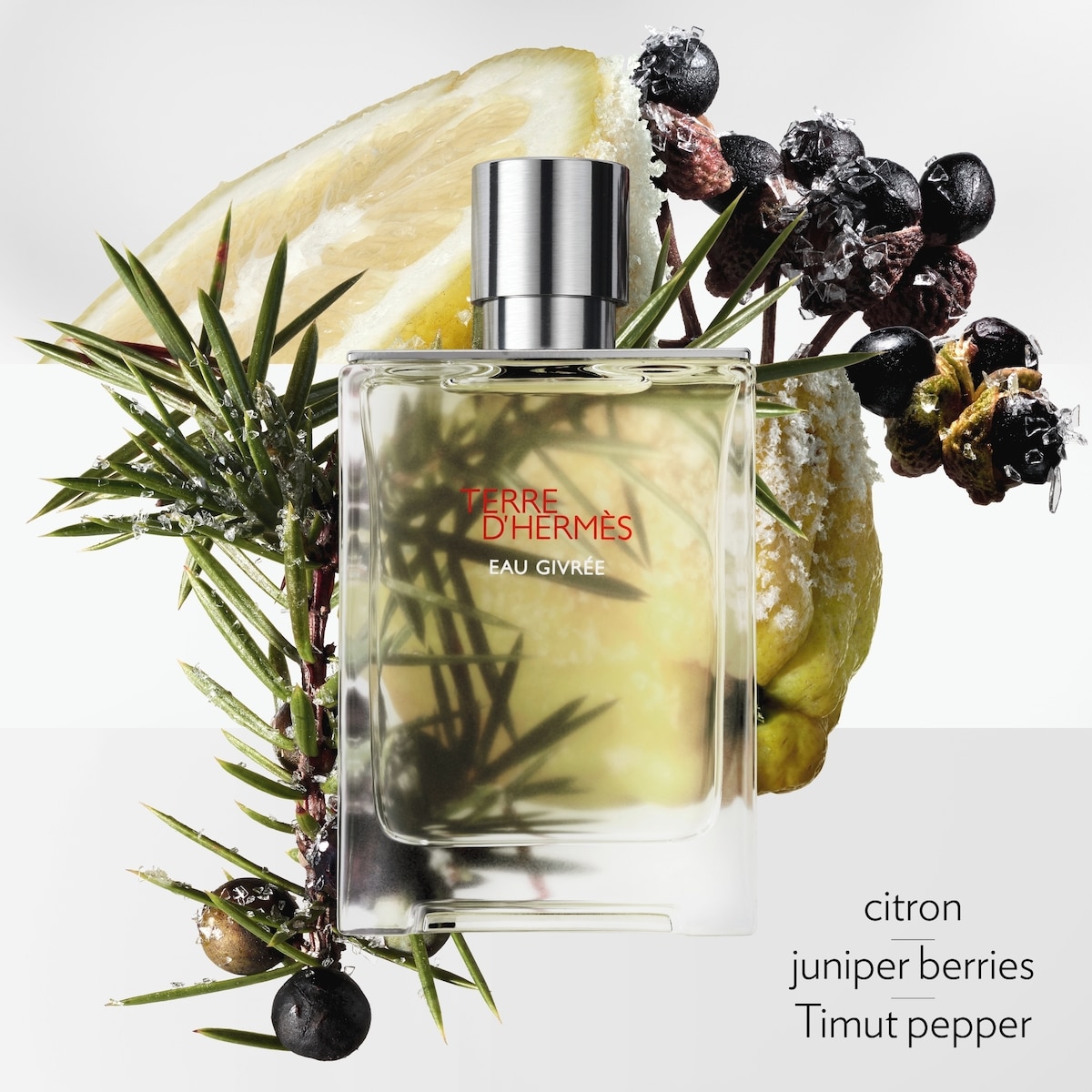 Terre d’Hermès Eau Givrée