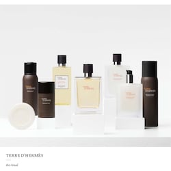 Terre d'Hermès, Eau de Toilette 3