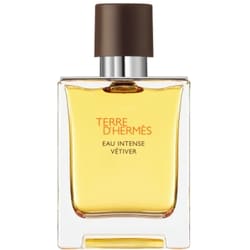 Terre d'Hermès Eau Intense Vétiver, Eau de Parfum 1