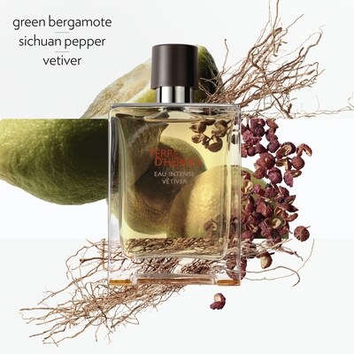 Hermès Terre d'Hermès Eau Intense Vétiver, Eau de Parfum