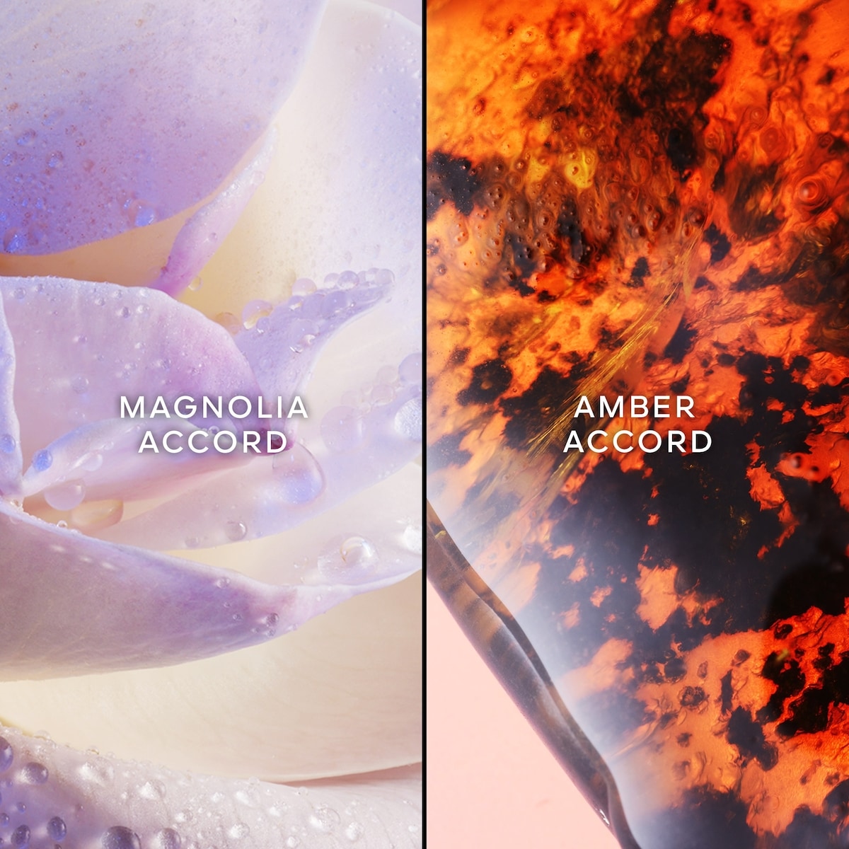 Les Légendaires L'Instant de - Eau de Parfum