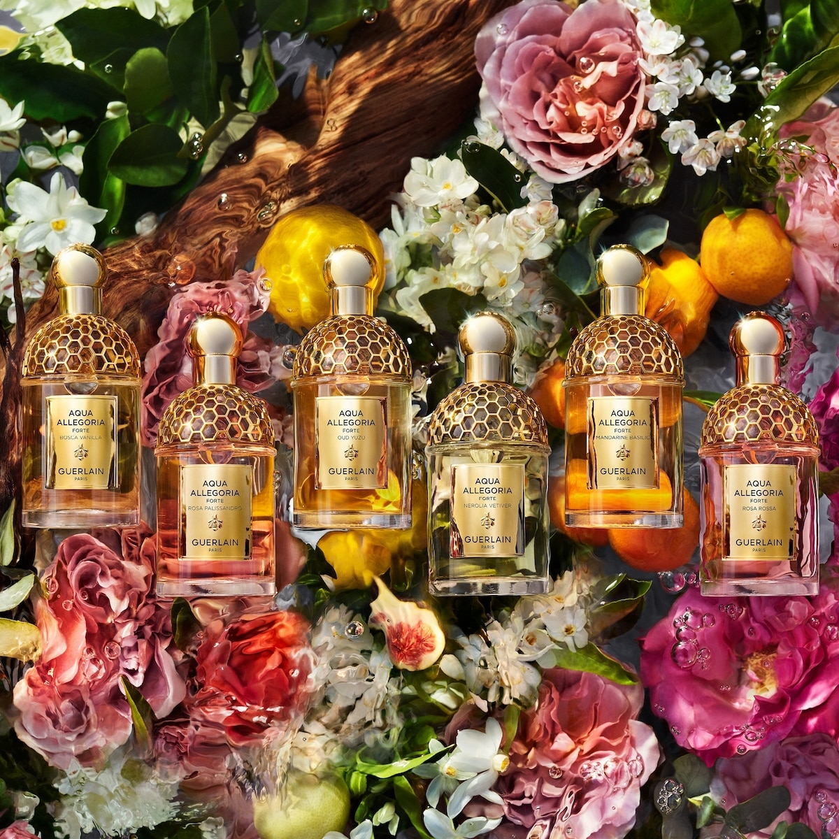 Aqua Allegoria Forte Bosca Vanilla Eau de Parfum