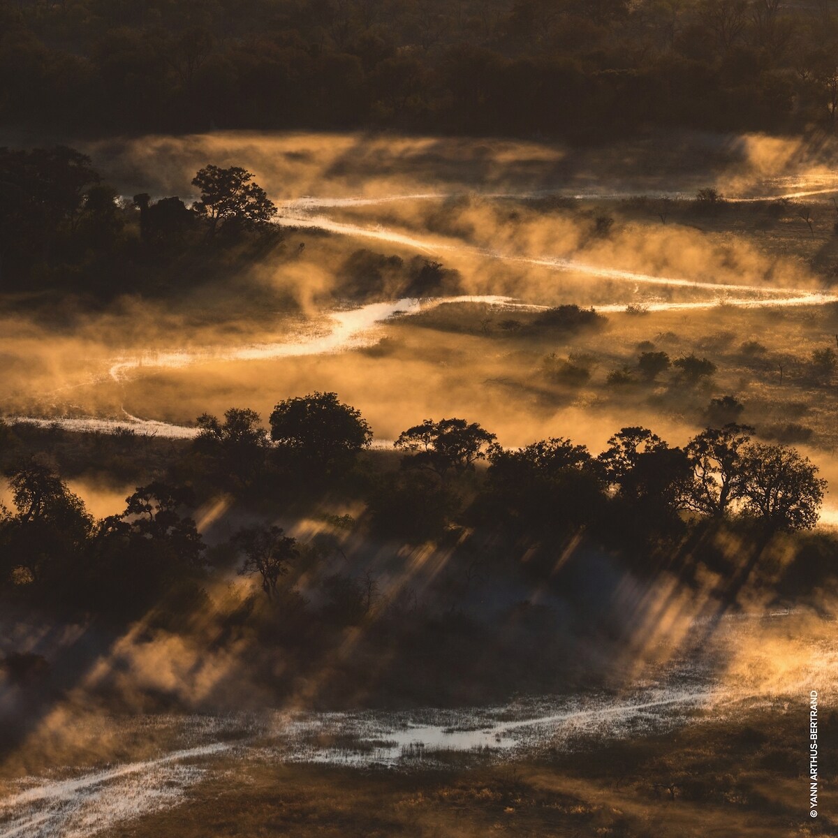 Aqua Allegoria Forte Bosca Vanilla Eau de Parfum Refill