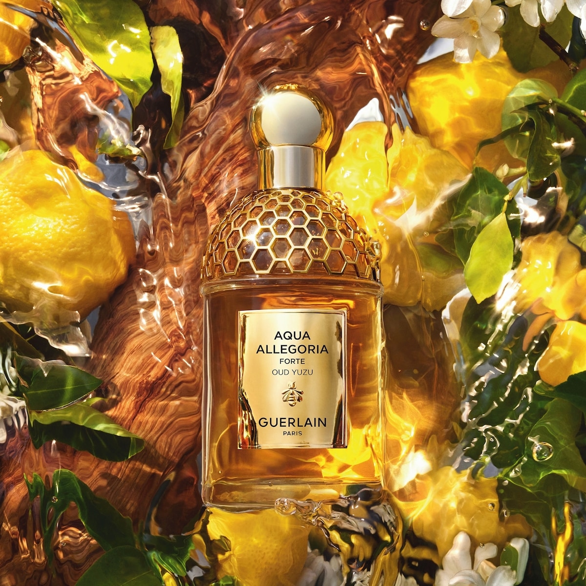 Aqua Allegoria Forte Oud Yuzu Eau de Parfum Refill