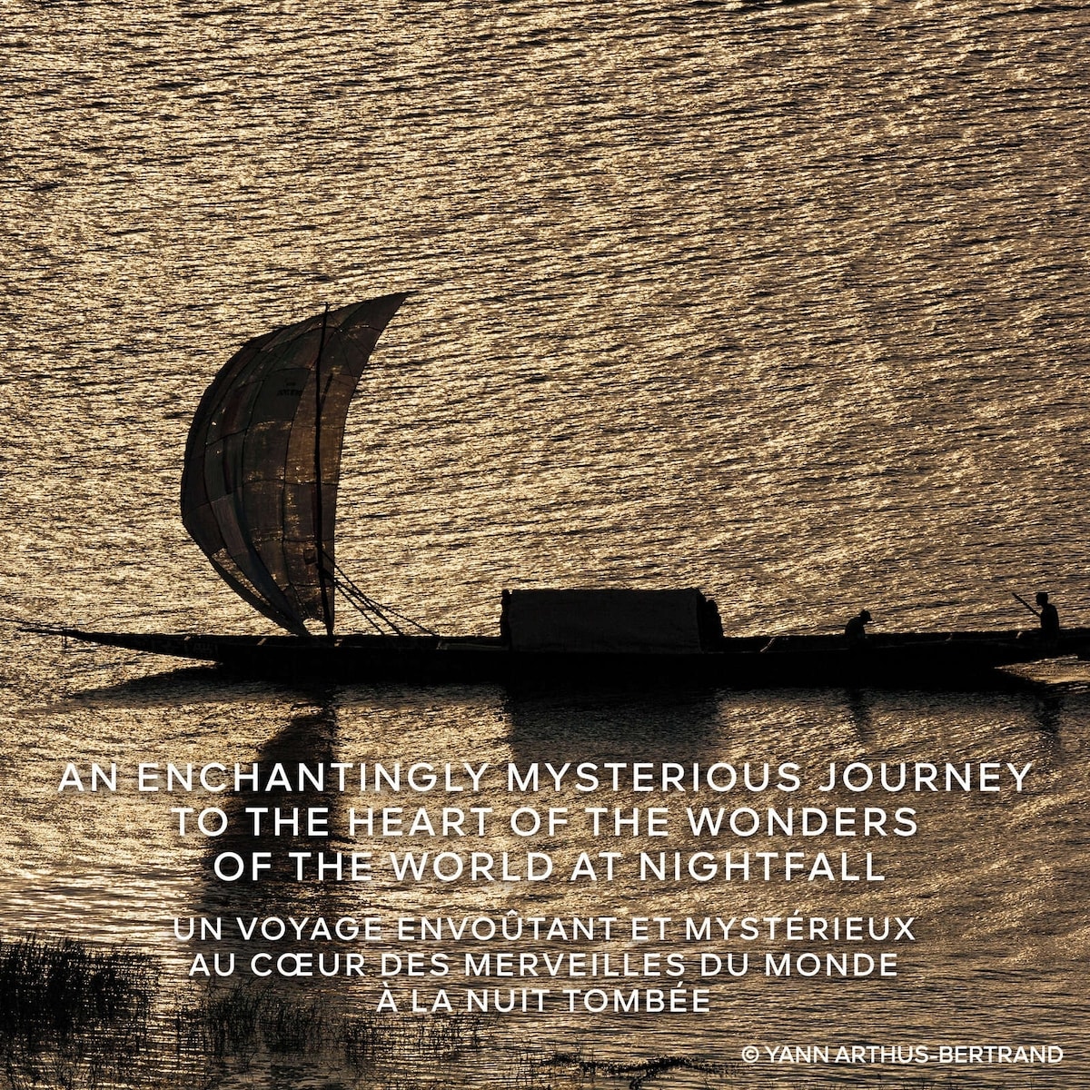 Absolus Allegoria Rose Amira Eau de Parfum