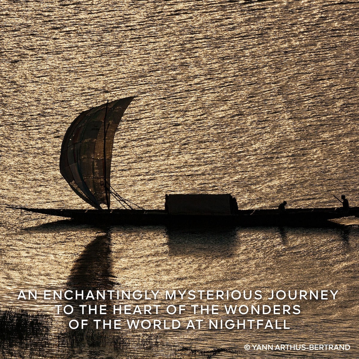 Absolus Allegoria Rose Amira Eau de Parfum