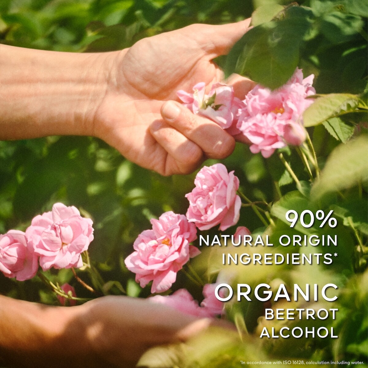 La Petite Robe Noire Eau de Toilette