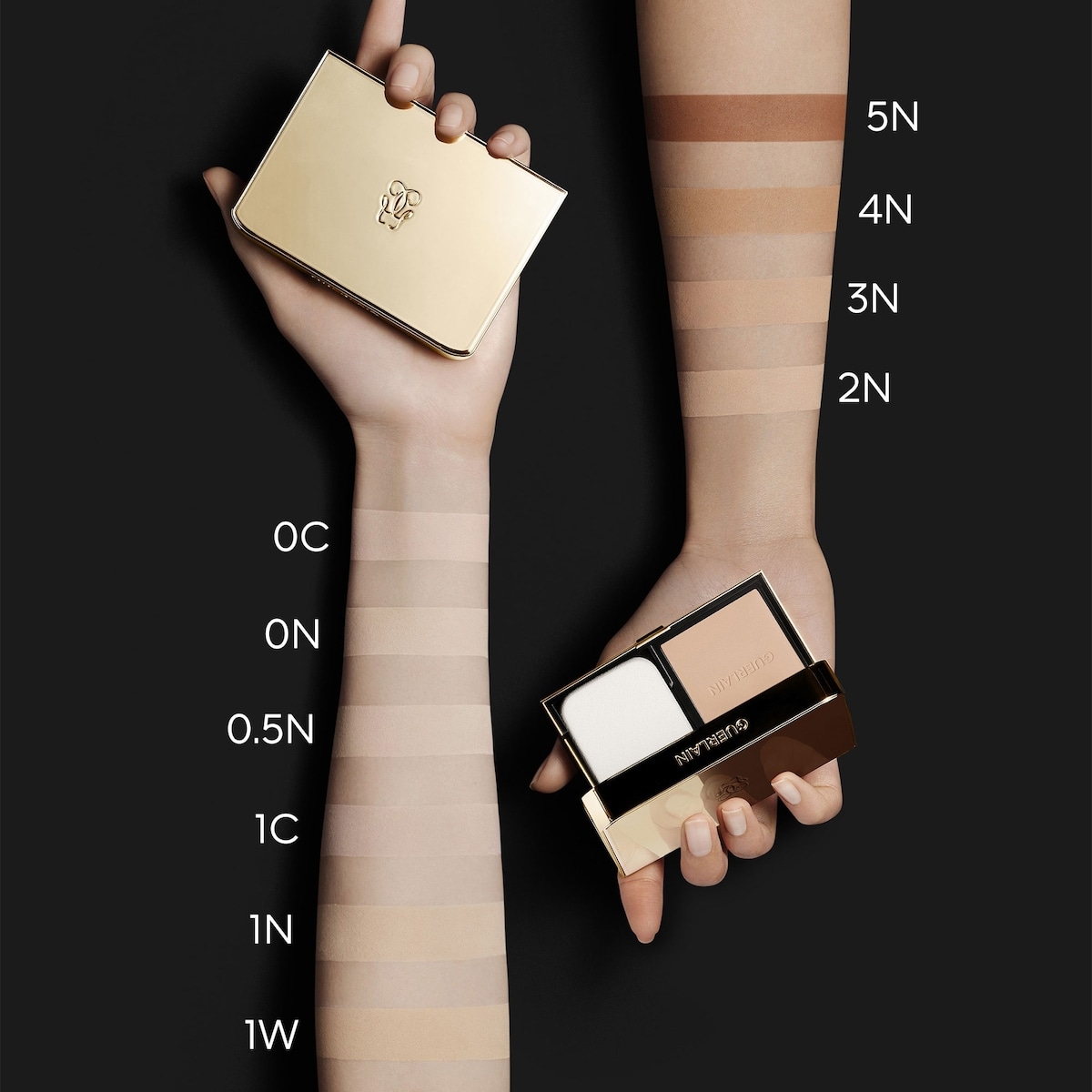 Parure Gold Skin Control fond de teint compact haute perfection mat