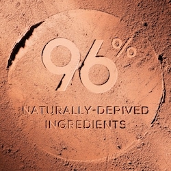 Terracotta The Bronzing Powder 5