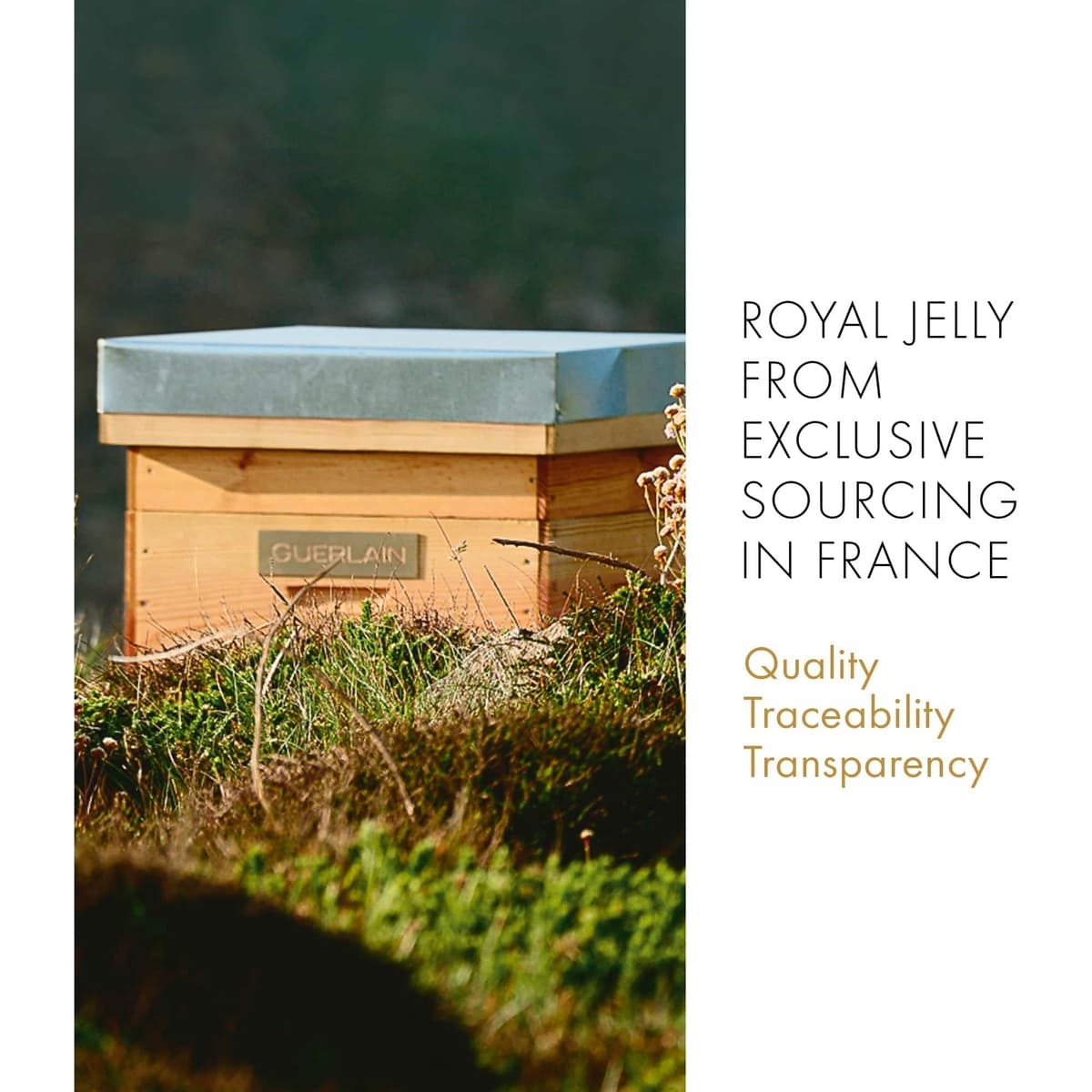 Abeille Royale Fortifying Lotion with Royal Jelly