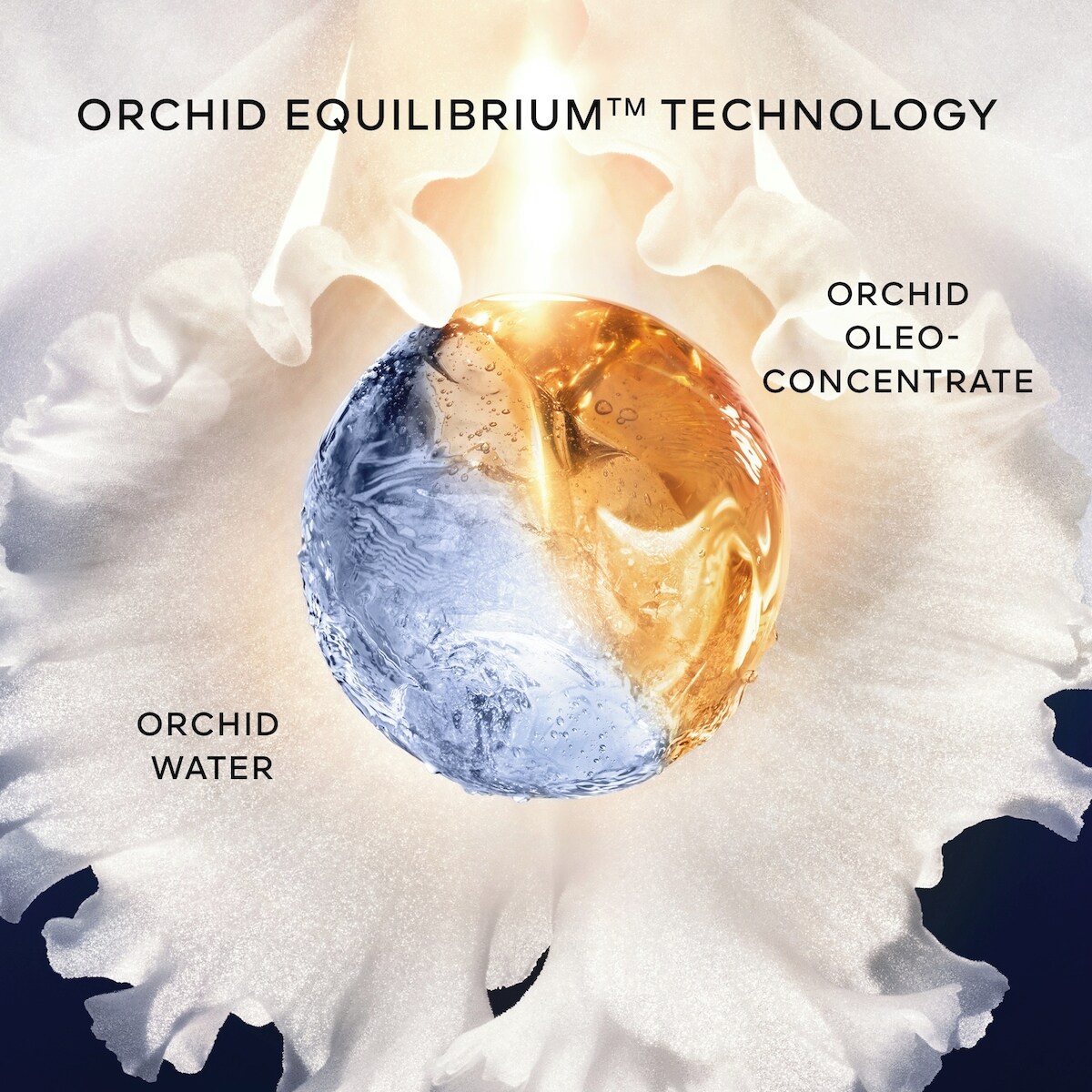 Orchidée Impériale The Foam In Cream