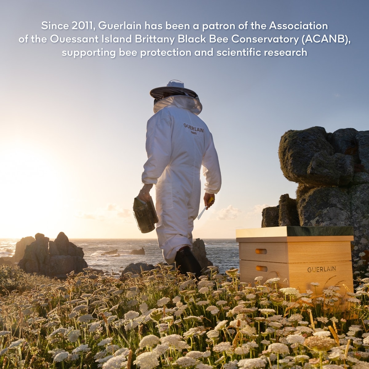 Abeille Royale Programme Anti-âge Découverte