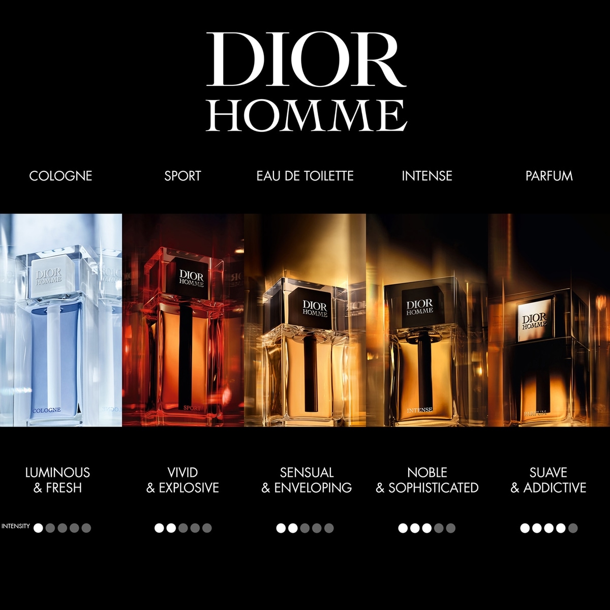 Dior Homme Intense Eau de Parfum