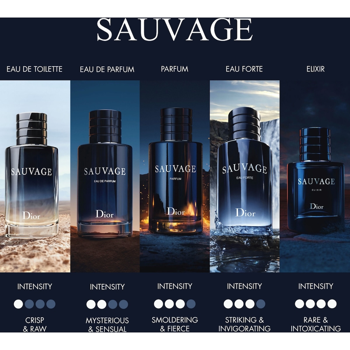 Dior SAUVAGE Eau de Parfum 100ml 定価17490 【公式通販】
