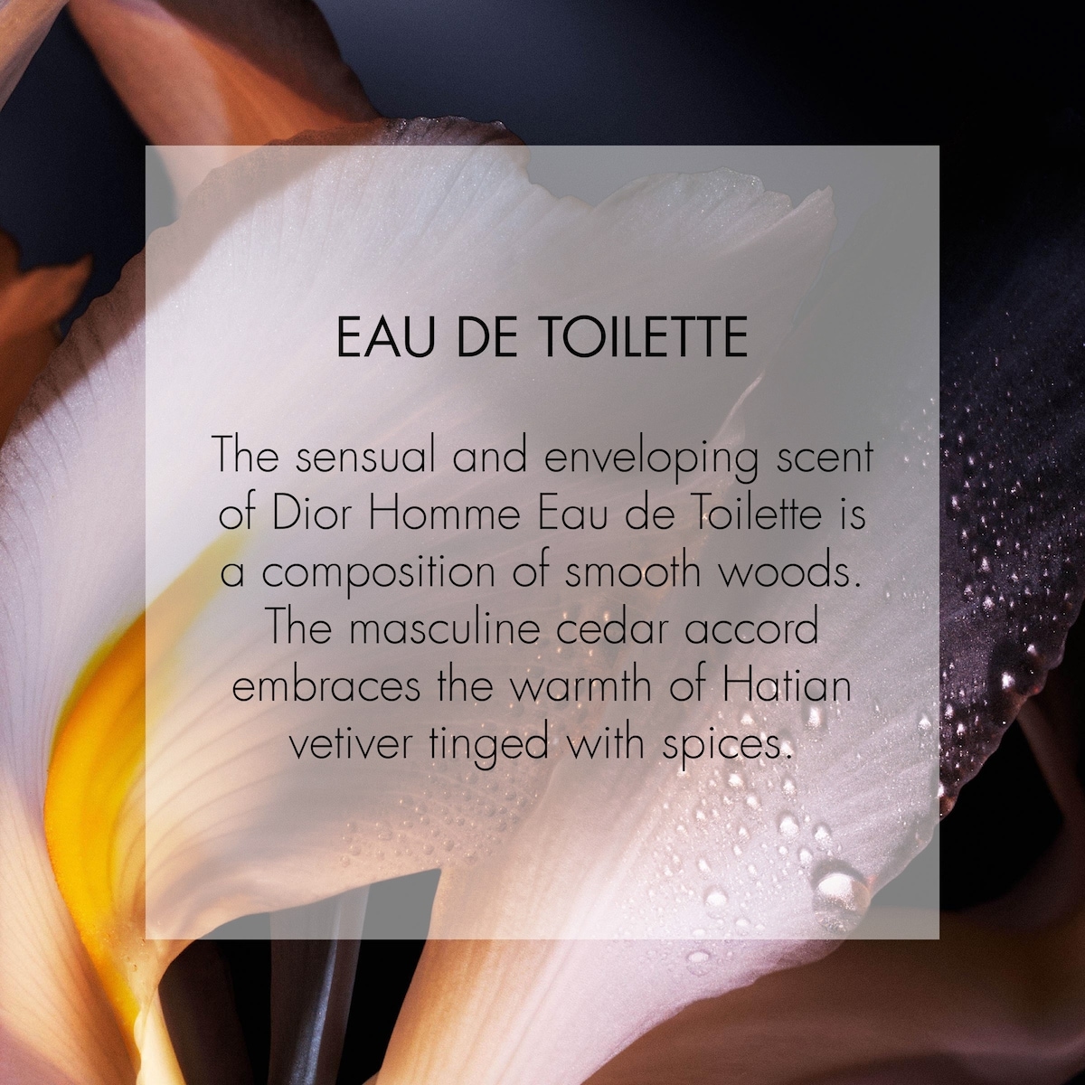 Dior Homme Eau de Toilette