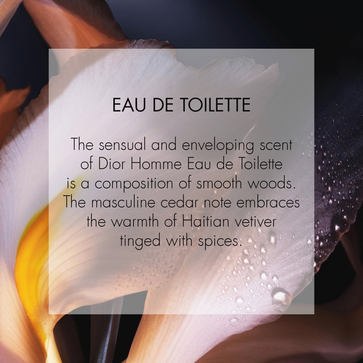 Dior Homme Eau de Toilette