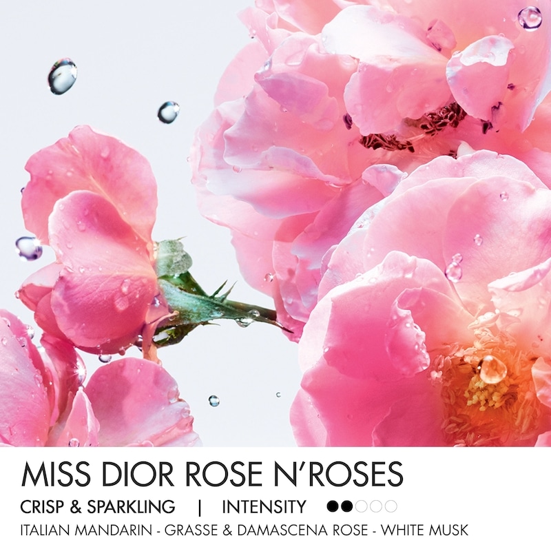 DIOR Miss Dior Rose N' Roses Eau de Toilette | Shoppers Drug Mart
