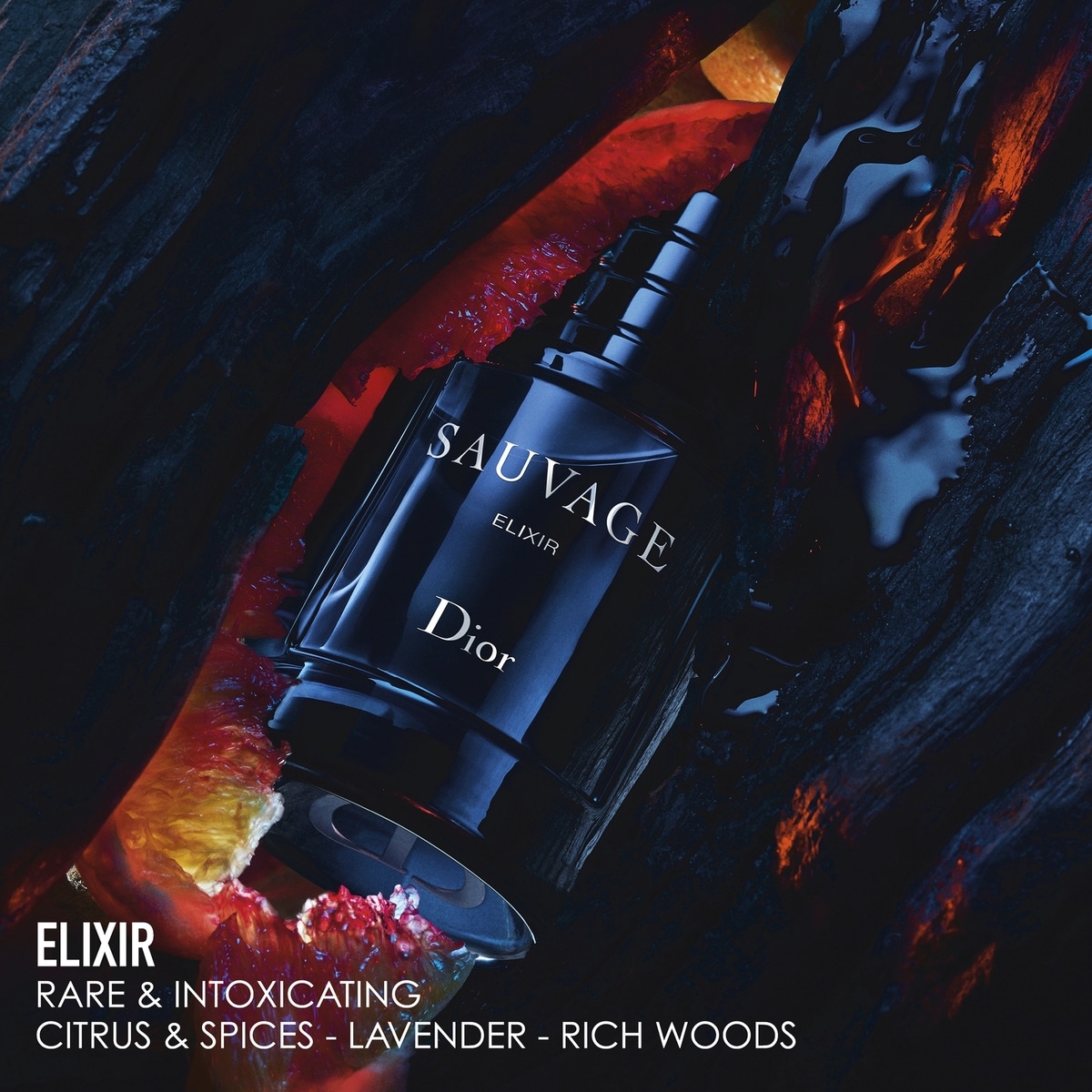 Sauvage Elixir